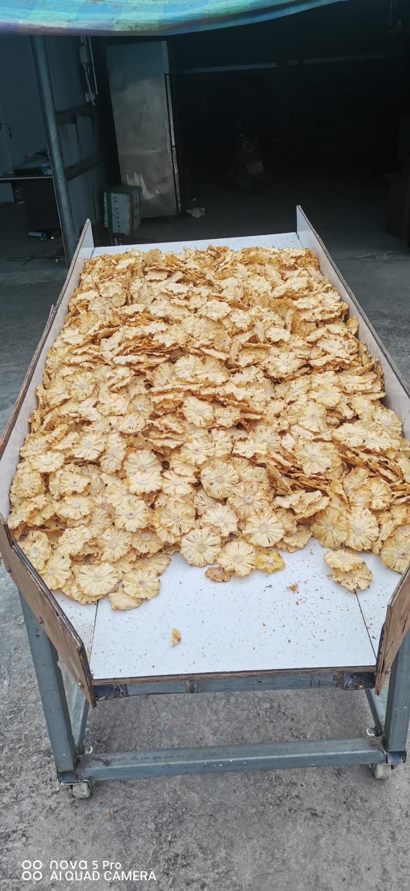 广西玉林市精品无任何添加烘干菠萝干货源充足欢迎订购。