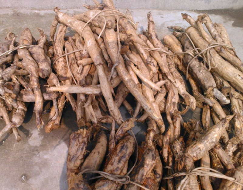 野生葛根粉