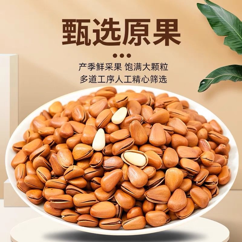 新货东北松大颗粒松子支持电商一件代发批量拿货