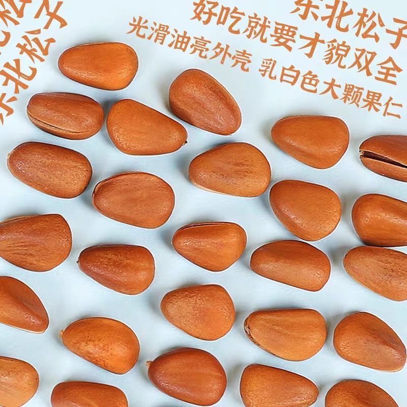 新货东北松大颗粒松子支持电商一件代发批量拿货