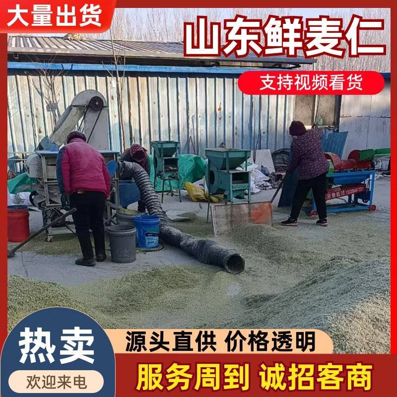 《新鲜麦仁》鲜麦仁/青麦仁/鲜货现发/自产自销/全国发货
