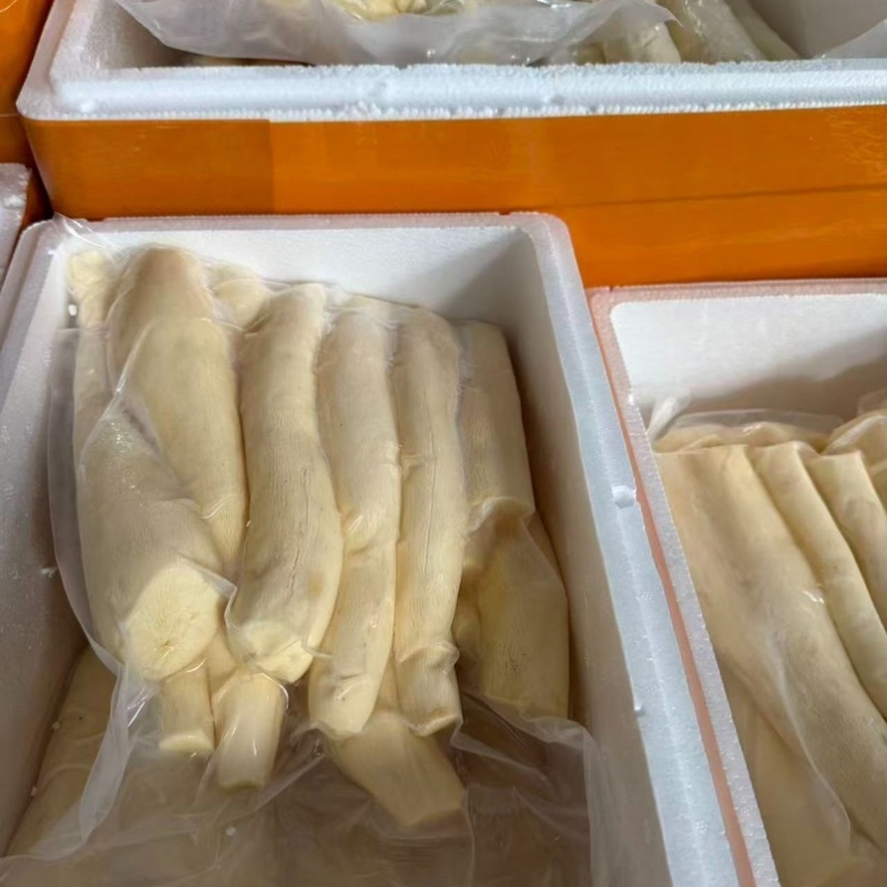 广西华南10号去皮白肉木薯糯米木薯大量供应