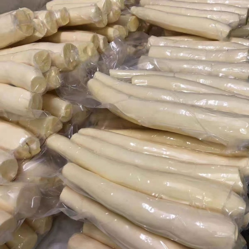 广西华南10号去皮白肉木薯糯米木薯大量供应