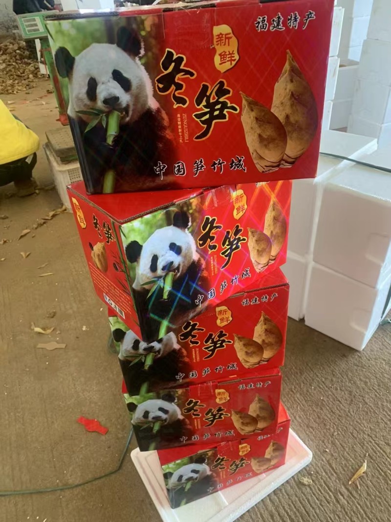 福建南平冬笋个大肉质好大批量发货