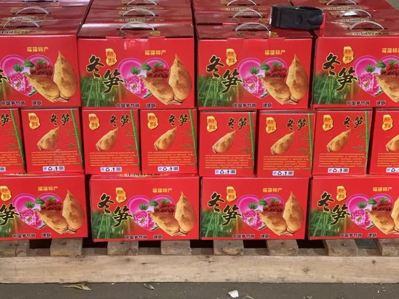 福建南平冬笋个大肉质好大批量发货