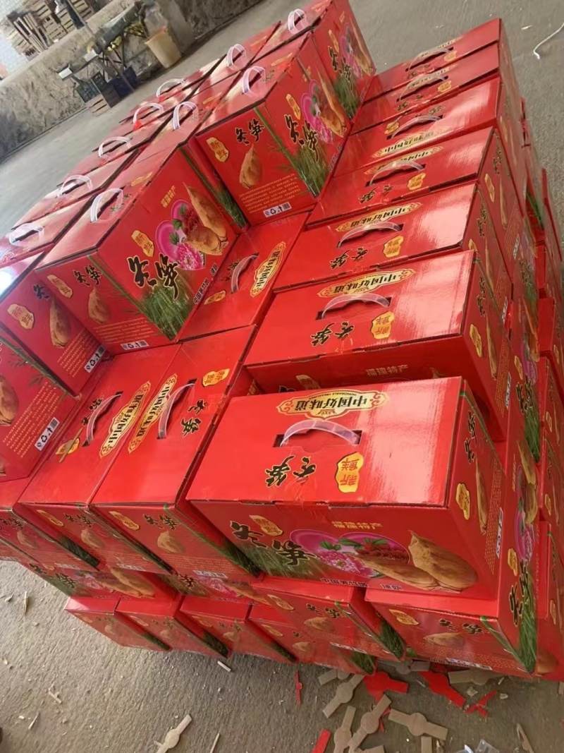福建南平冬笋个大肉质好大批量发货