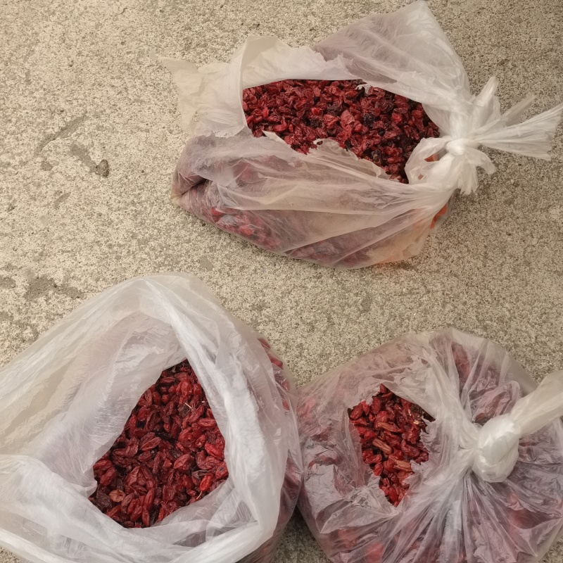 深山老树山茱萸，肉厚药效足，无糖无硫***，正宗好货。