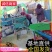 山东鲜麦仁/鲜货现发/货源充足/可视频看货/欢迎致电