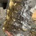 4-6头帝王参高口感鲜食海参货源稳定，欢迎采购