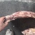 1399牛肋排
