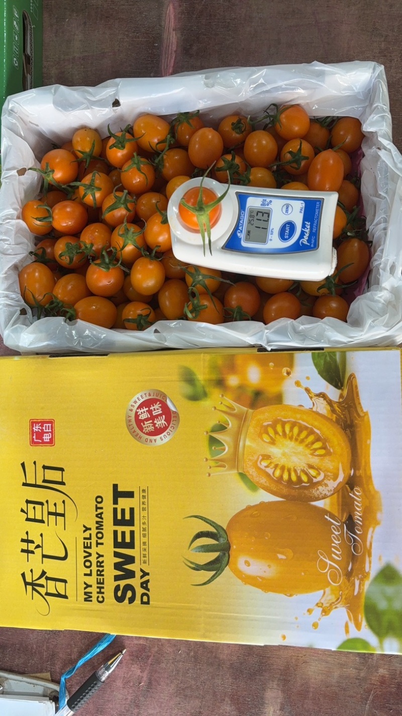 香芒皇后千喜皇冠圣女果产地供应链欢迎团购前来合作共赢