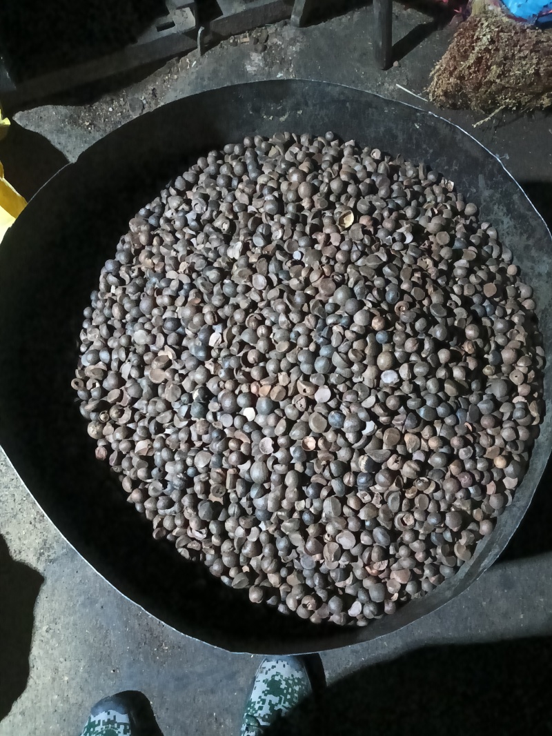 纯野生茶油