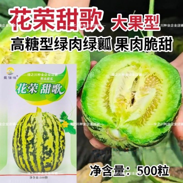 花荣甜歌花美人甜瓜种子大果高糖绿肉抗裂甜瓜种籽早熟