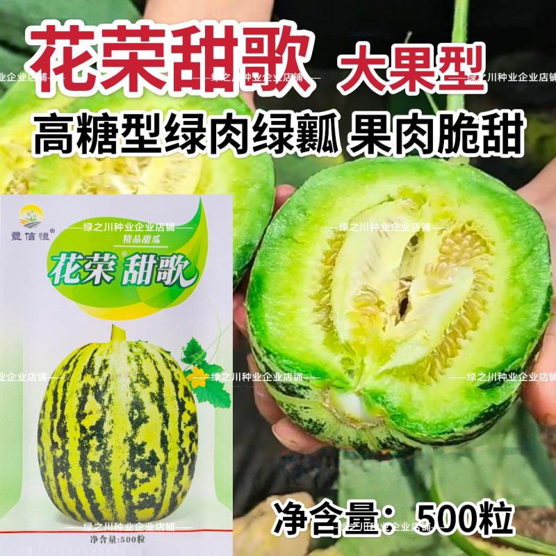 花荣甜歌花美人甜瓜种子大果高糖绿肉抗裂甜瓜种籽早熟
