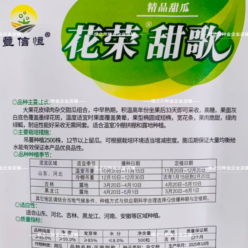 花荣甜歌花美人甜瓜种子大果高糖绿肉抗裂甜瓜种籽早熟