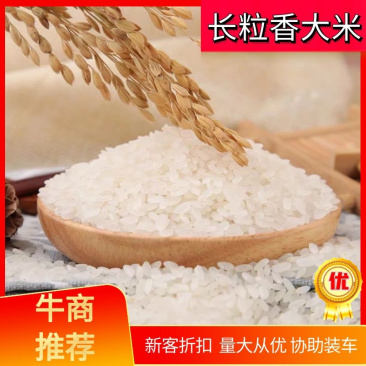 【精品】长粒香大米新米上市口感好焖饭有香味剩饭不回生