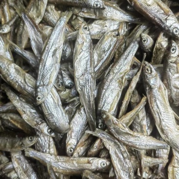 白条鱼淡干，猫鱼干，猫粮，淡干鱼，风干鱼