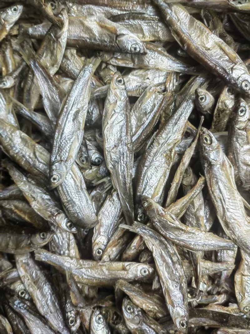 白条鱼淡干，猫鱼干，猫粮，淡干鱼，风干鱼