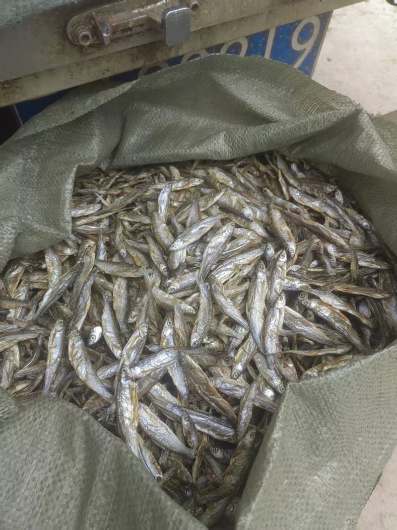 白条鱼淡干，猫鱼干，猫粮，淡干鱼，风干鱼