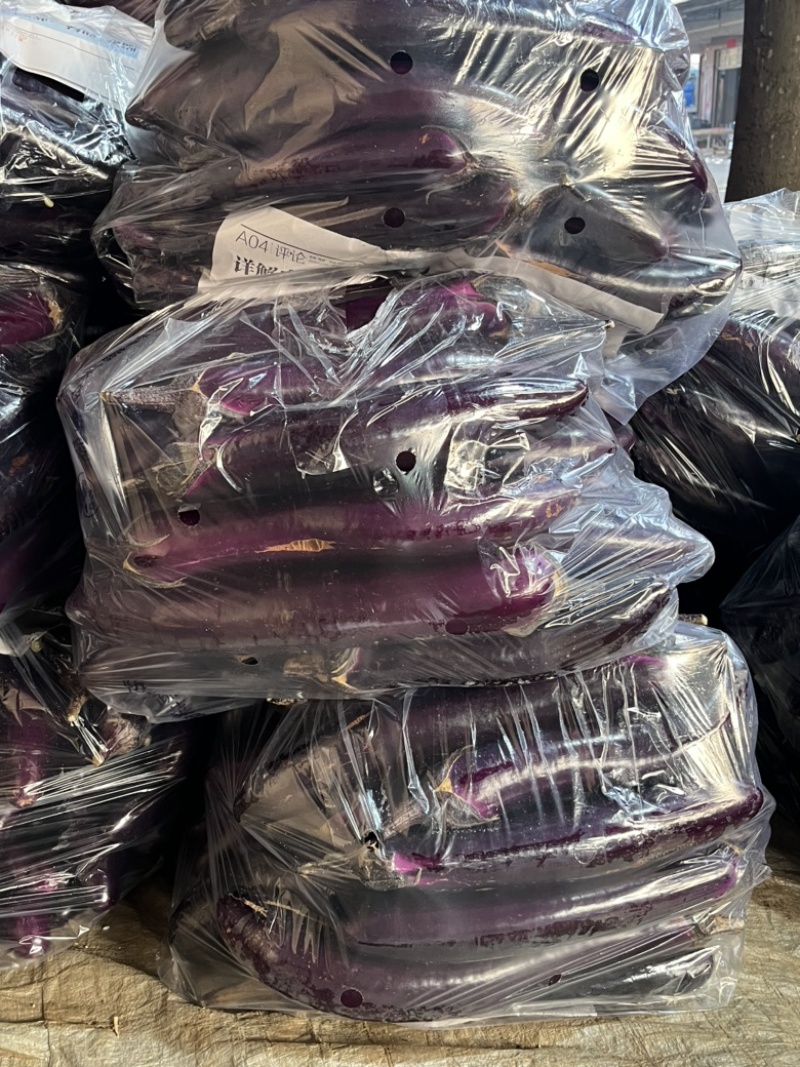 【精品】广东紫长茄，新鲜货源，对接各大电商商超，欢迎咨询
