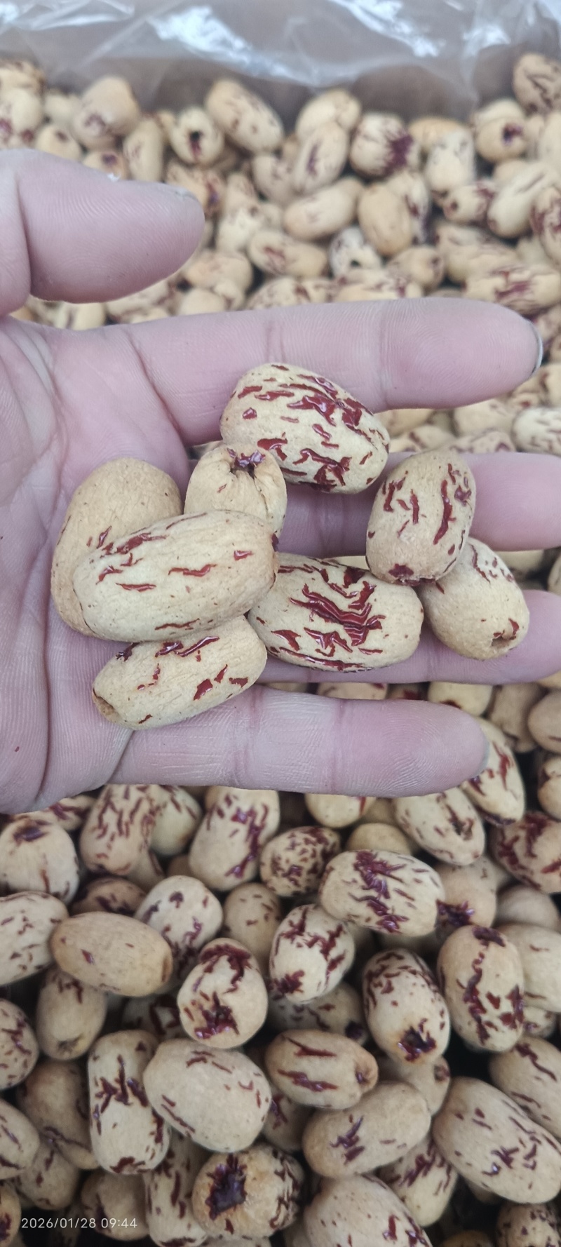 特级虎皮枣