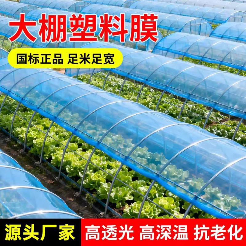 大棚塑料膜农用膜抗老化韧性足尺寸大小支持定制源头厂家发全国