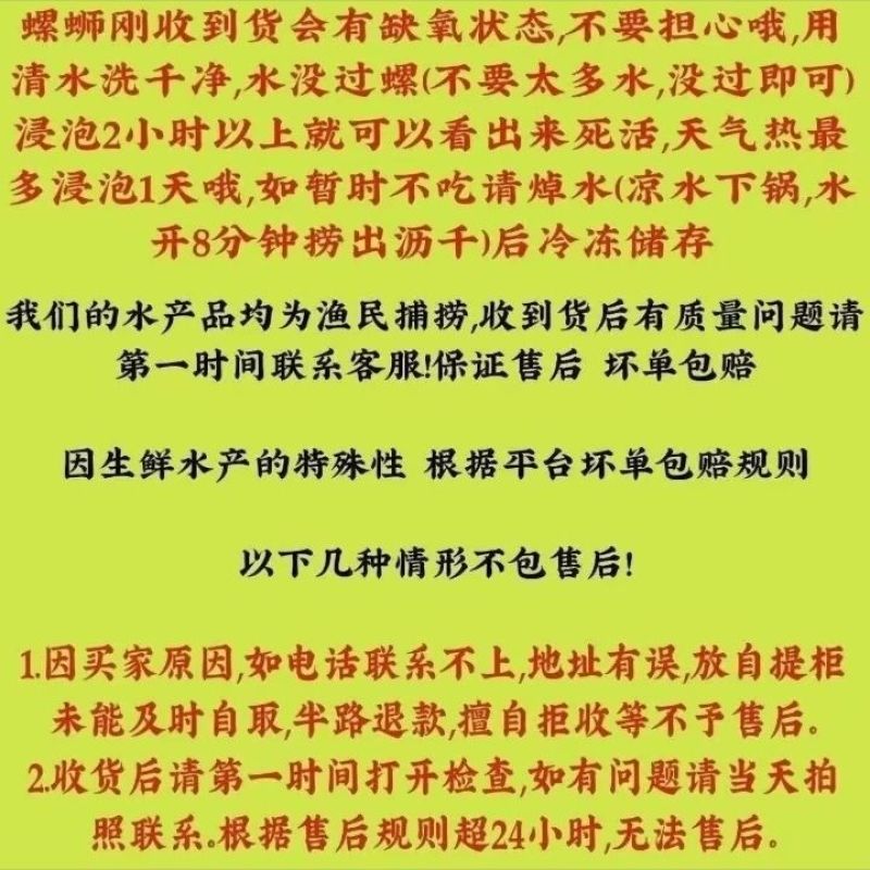 清水石螺炮头
