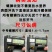 清水石螺炮头
