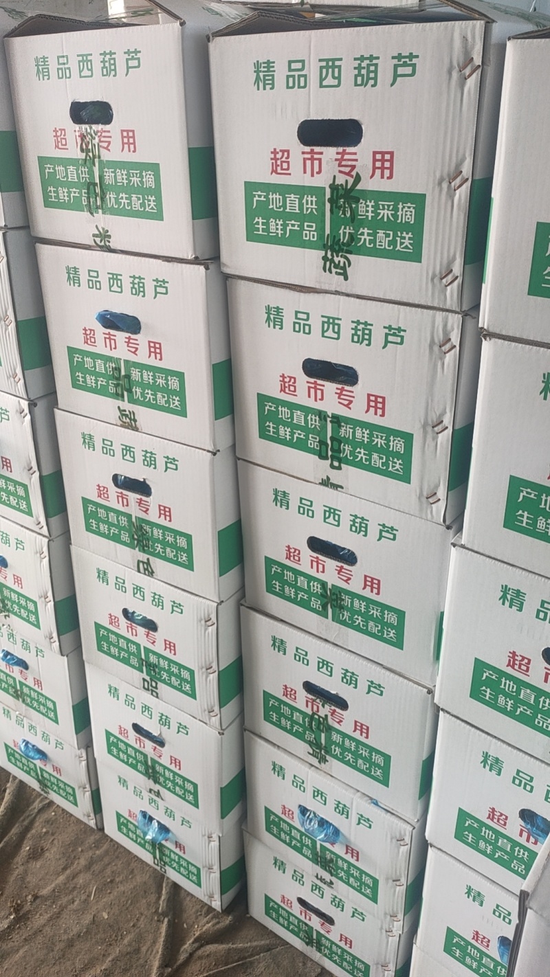 【实力商家】产地直发【保质保量】诚实可靠【量大从优】西葫