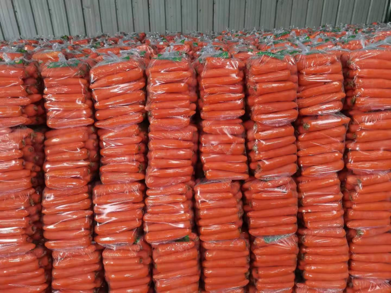 三红胡萝卜河南胡萝卜（常年供应）量大从优，来电价格可谈
