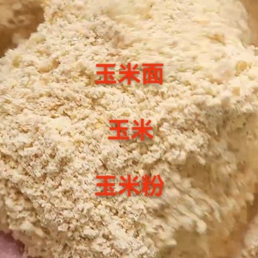 玉米面玉米粉粥厂食品厂下来的可直接替代玉米使用