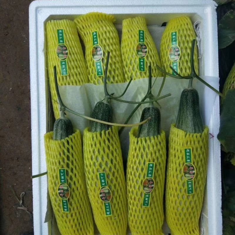 精品羊角蜜甜瓜供货量大价格合理源头直供对接全国