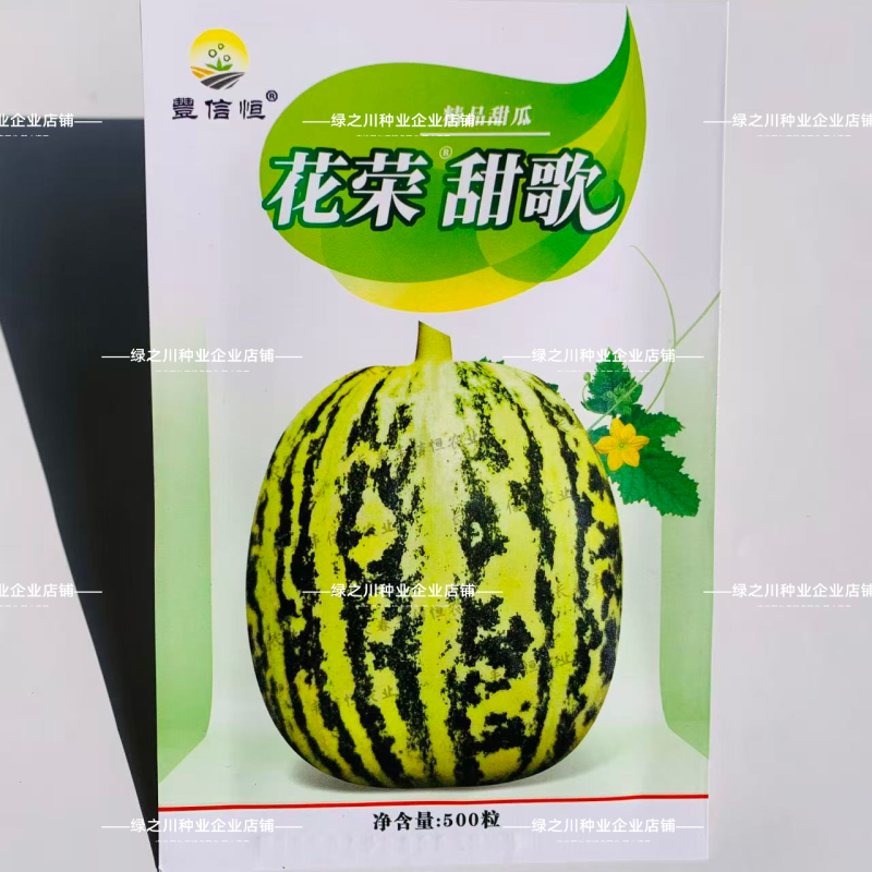 丰信恒花荣甜歌甜瓜种子大果花皮高糖绿肉花美人甜瓜种籽脆甜