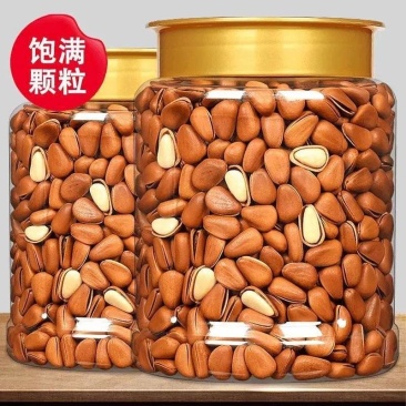 新货东北松大颗粒松子支持电商一件代发批量拿货。