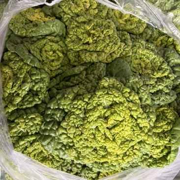 精品黄心菜
