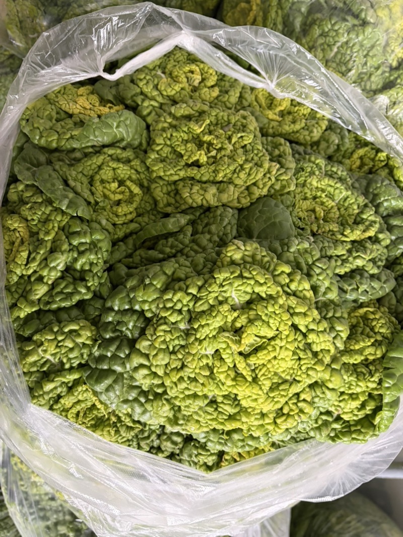 精品黄心菜