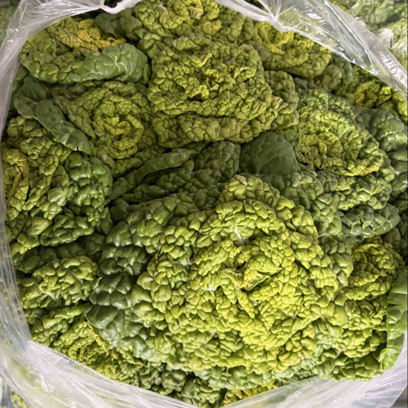精品黄心菜
