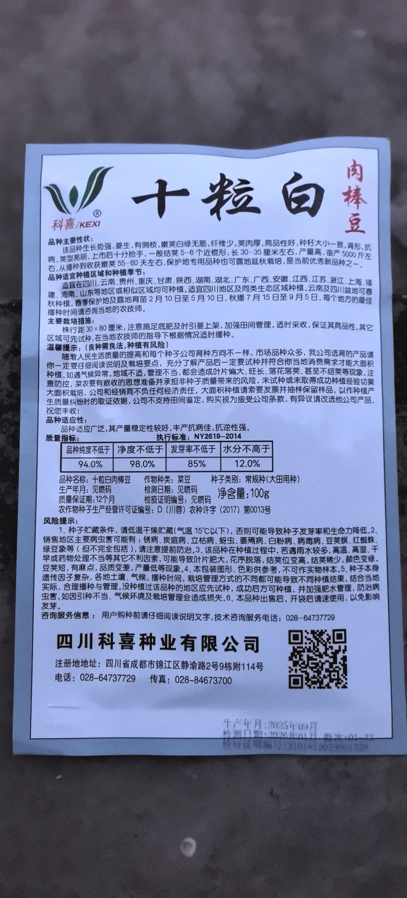 四季豆种子十粒白加长型白肉架豆