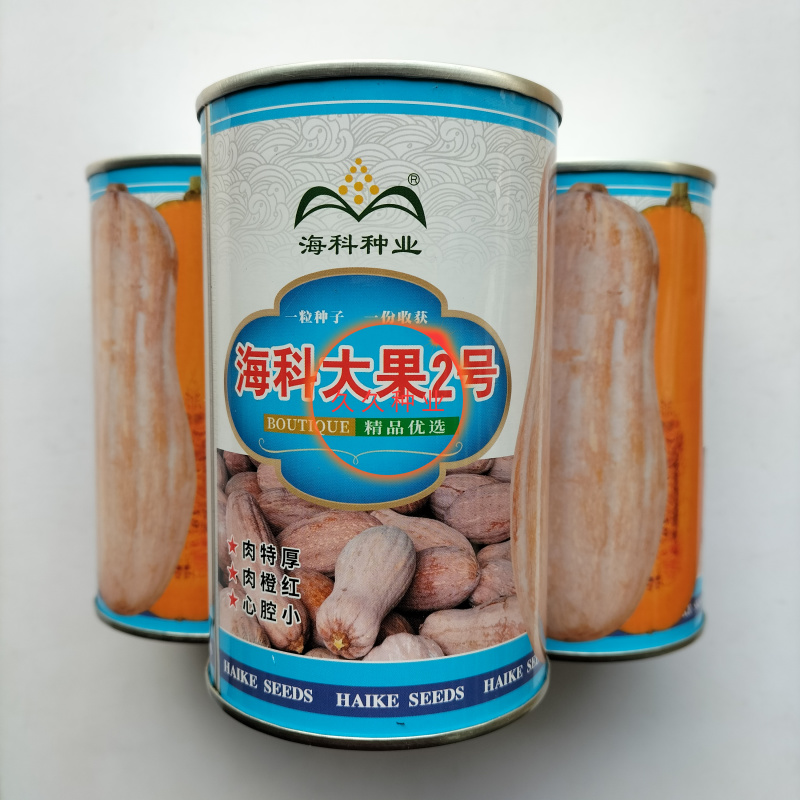 海科大果2号南瓜种子中熟大田蜜本南瓜肉厚腔小耐储运产量高