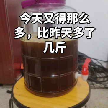 纯野生蜂蜜
