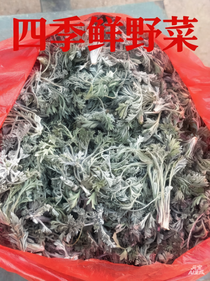 鲜茵陈白蒿去根去黄叶干叶加冰发货，保证质量数量批发零售