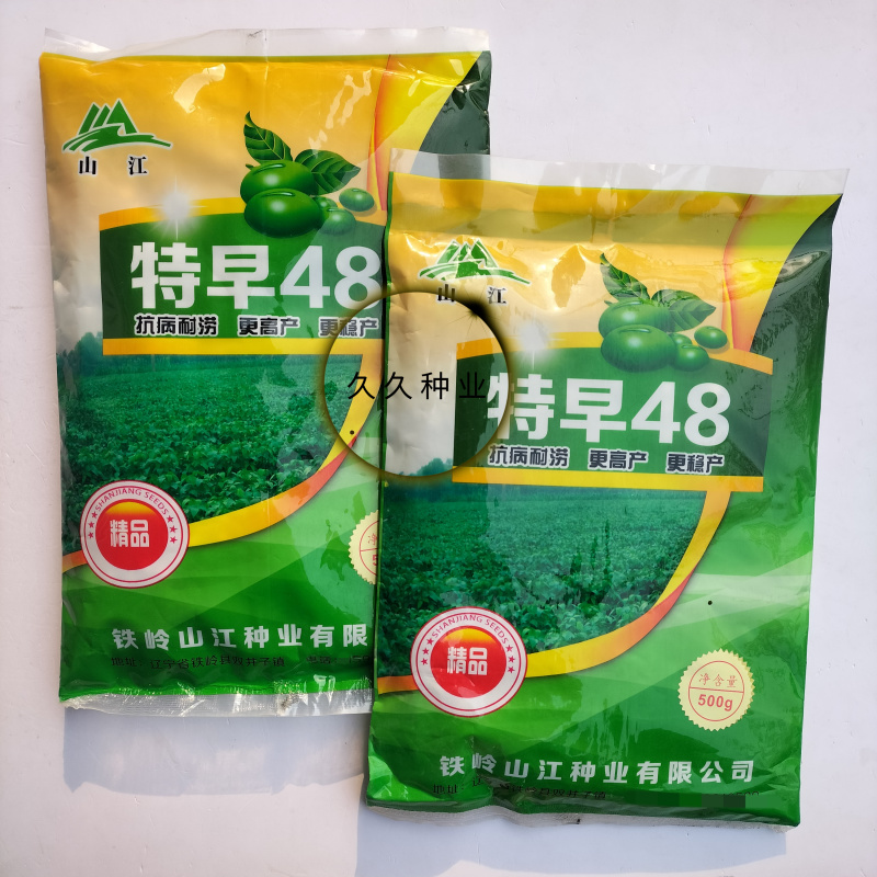 特早48毛豆种子鲜食菜青豆种子抗病特早中熟菜豆毛豆种籽孑