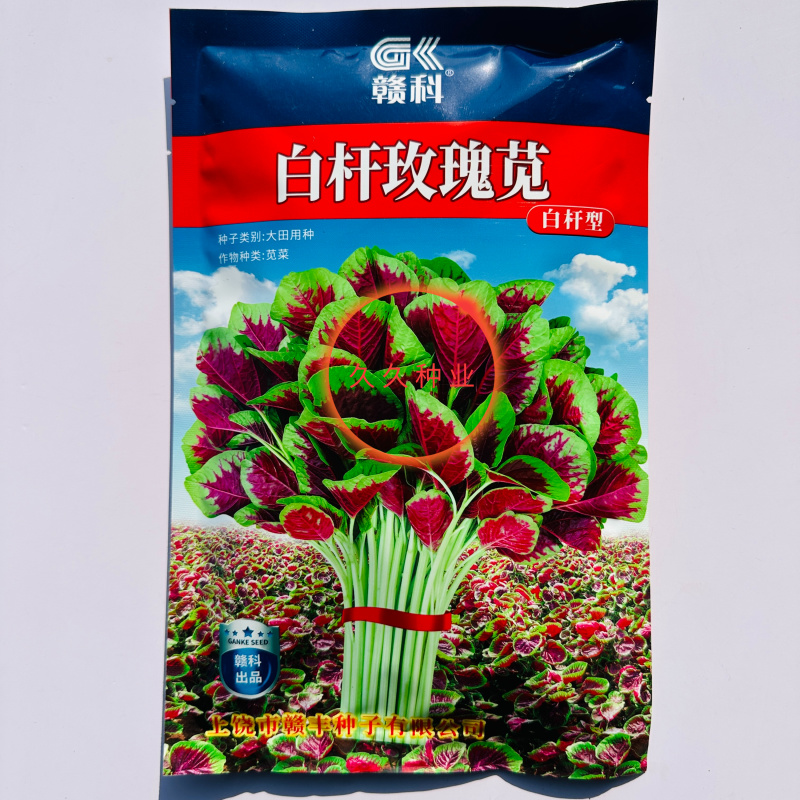 白杆玫瑰苋苋菜种子早中熟叶片肥大圆叶白杆型苋菜纤维少