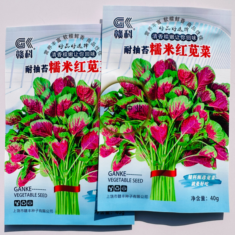 耐抽苔糯米红苋菜种子早中熟红圆叶苋菜籽耐低温结籽晚鲜嫩