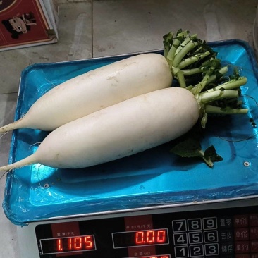 白萝卜