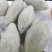 种盈蛋黄香室外浓香型南瓜种子籽干甜干面新鲜蔬菜种子南瓜