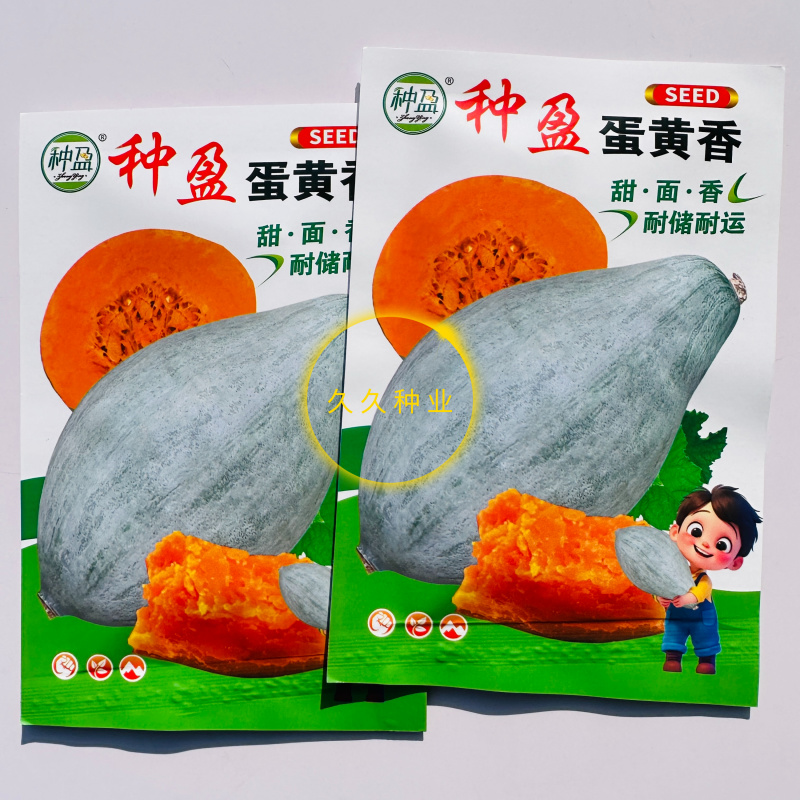 种盈蛋黄香室外浓香型南瓜种子籽干甜干面新鲜蔬菜种子南瓜