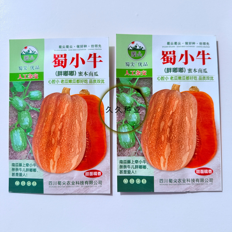蜀小牛蜜本南瓜种子老瓜嫩瓜都好吃南瓜种籽高产抗病四季播