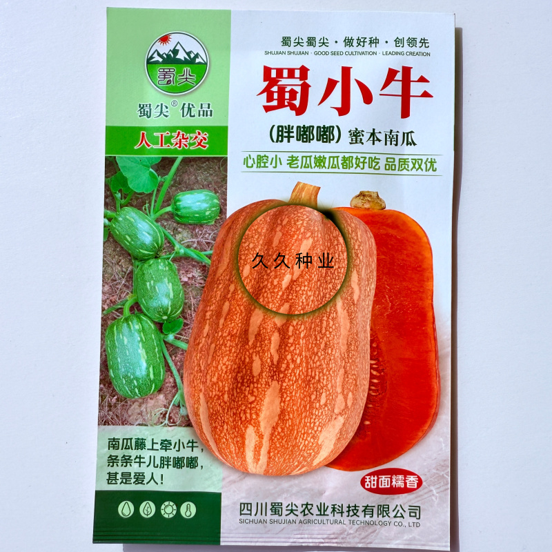 蜀小牛蜜本南瓜种子老瓜嫩瓜都好吃南瓜种籽高产抗病四季播