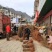 李子苗、晚熟李、蜂糖李、黄金奈李、金秋晚脆李、